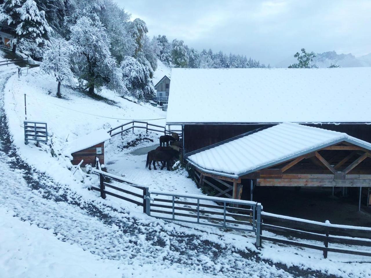 Hotel Garni Brigitte Bürserberg Kültér fotó