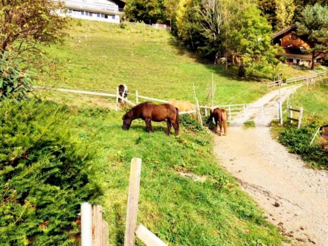 Hotel Garni Brigitte Bürserberg Kültér fotó